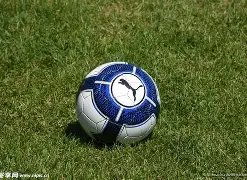 逆风敛财,揭秘律师揭,中冠球队涉,熊猫体育平台,熊猫体育官方网站,熊猫体育登录入口,熊猫体育app下载