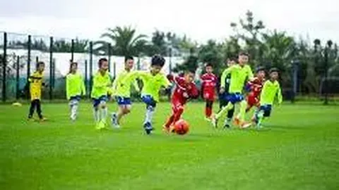 熊猫体育 产品 100030 j1c