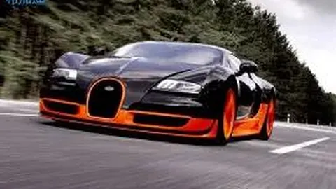 熊猫体育 资讯 100151 can