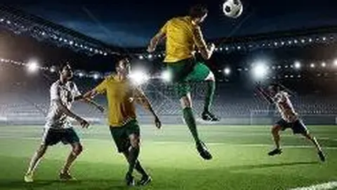 熊猫体育 产品 100127 l0n