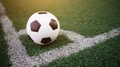 熊猫体育 资讯 100253 oam