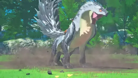 李永波谈海外榴莲园与国内冠军培育：现状剖析